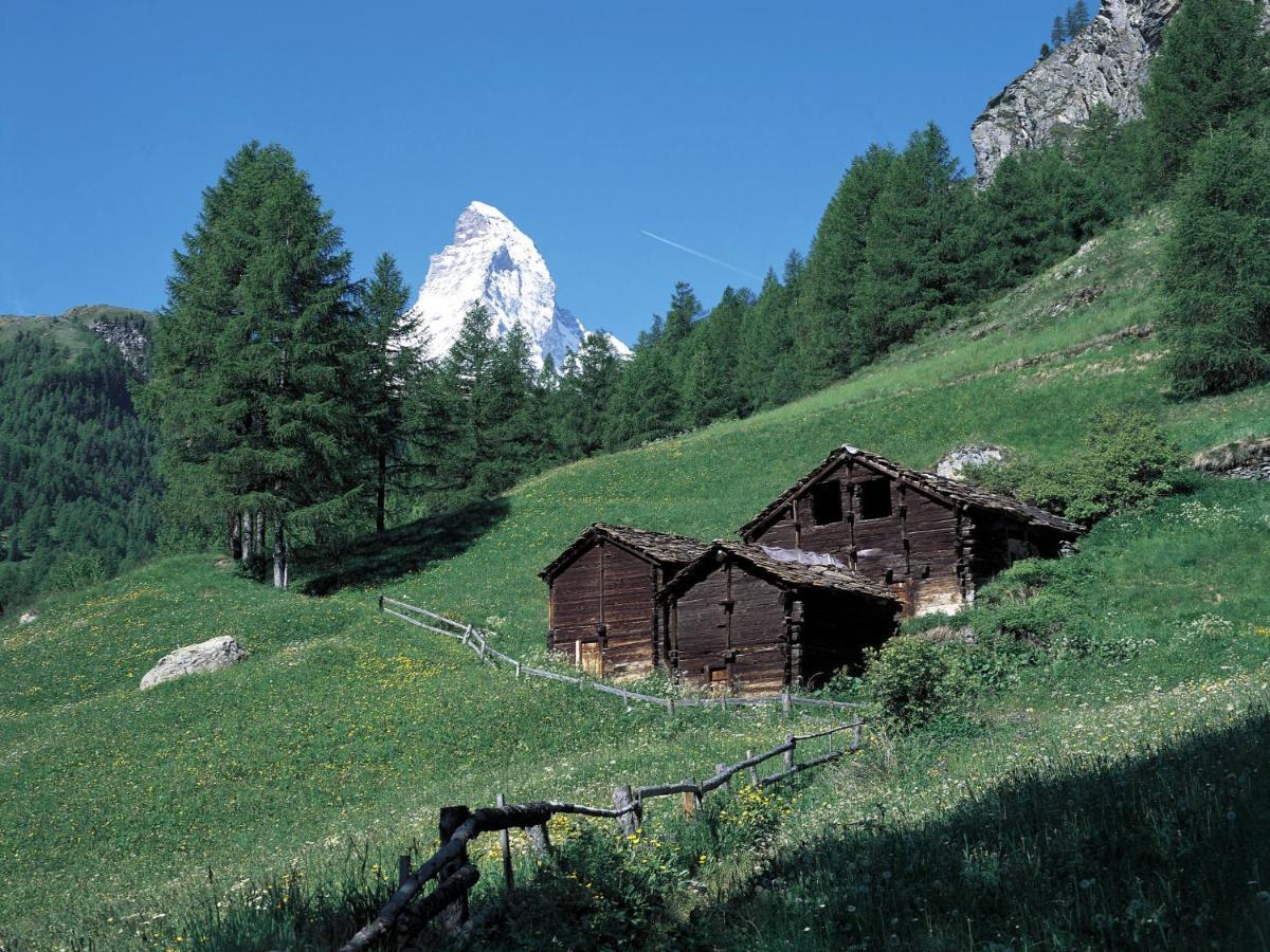 Apartment Sungold-1 By Interhome Zermatt Extérieur photo