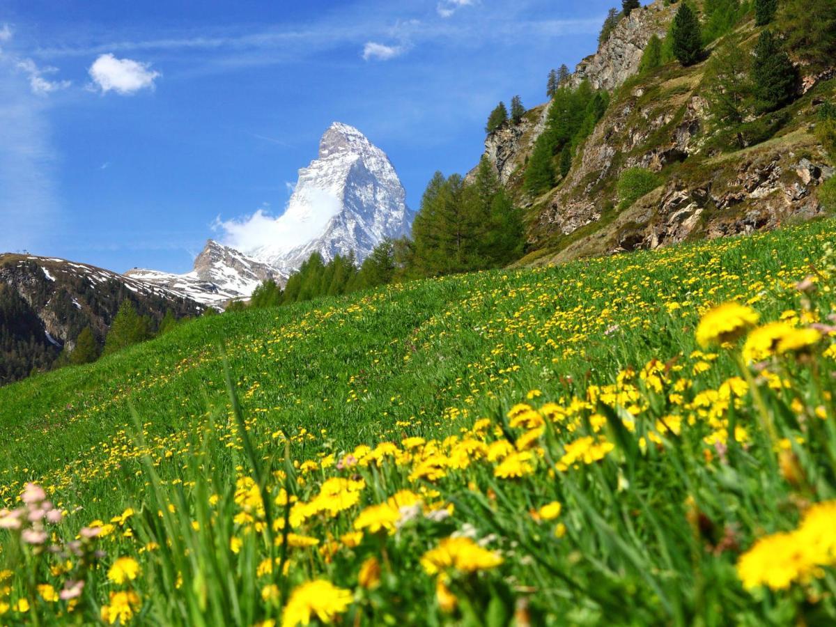 Apartment Sungold-1 By Interhome Zermatt Extérieur photo